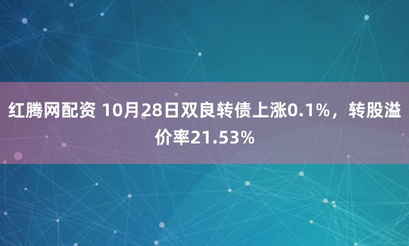 红腾网配资 10月28日双良转债上涨0.1%，转股溢价率21.53%