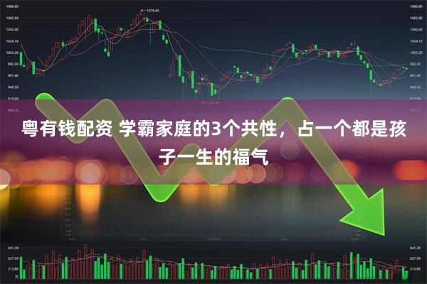 粤有钱配资 学霸家庭的3个共性，占一个都是孩子一生的福气